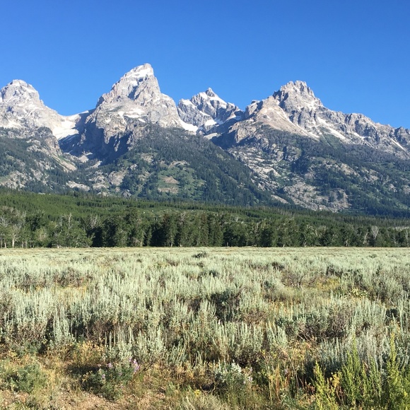 Meet your Posher, Bjee - Picture 1 of 1